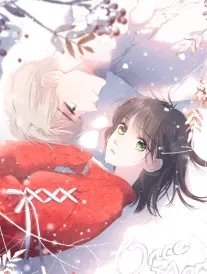 十七楼的风